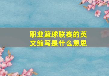 职业篮球联赛的英文缩写是什么意思