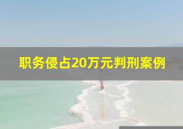 职务侵占20万元判刑案例