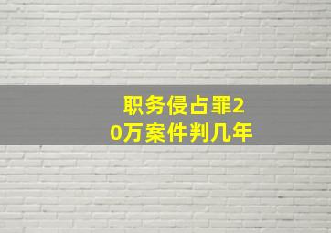 职务侵占罪20万案件判几年