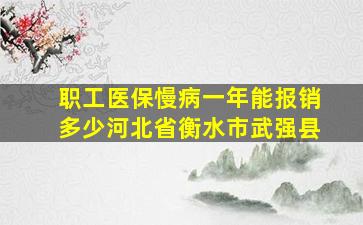 职工医保慢病一年能报销多少河北省衡水市武强县