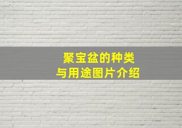 聚宝盆的种类与用途图片介绍