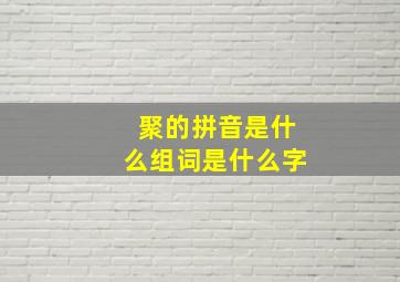 聚的拼音是什么组词是什么字