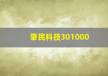 肇民科技301000