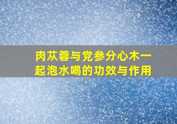 肉苁蓉与党参分心木一起泡水喝的功效与作用