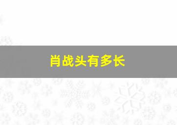 肖战头有多长