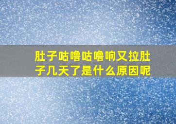 肚子咕噜咕噜响又拉肚子几天了是什么原因呢