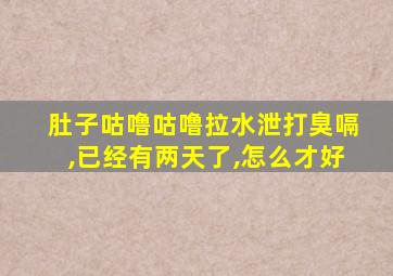 肚子咕噜咕噜拉水泄打臭嗝,已经有两天了,怎么才好