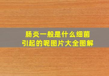 肠炎一般是什么细菌引起的呢图片大全图解