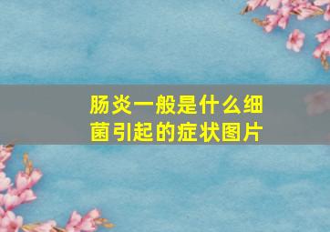 肠炎一般是什么细菌引起的症状图片