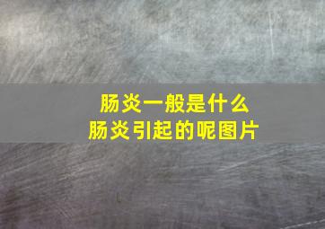 肠炎一般是什么肠炎引起的呢图片