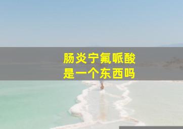 肠炎宁氟哌酸是一个东西吗