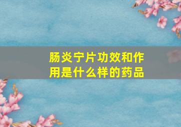 肠炎宁片功效和作用是什么样的药品