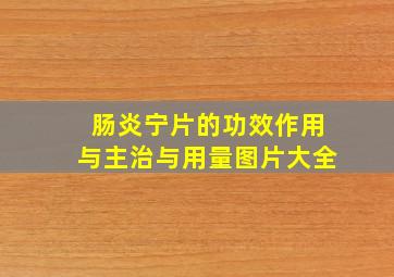 肠炎宁片的功效作用与主治与用量图片大全