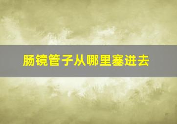 肠镜管子从哪里塞进去