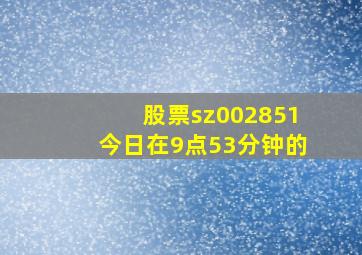 股票sz002851今日在9点53分钟的