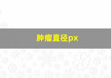 肿瘤直径px