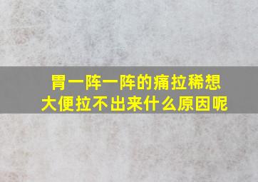 胃一阵一阵的痛拉稀想大便拉不出来什么原因呢