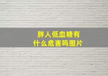 胖人低血糖有什么危害吗图片