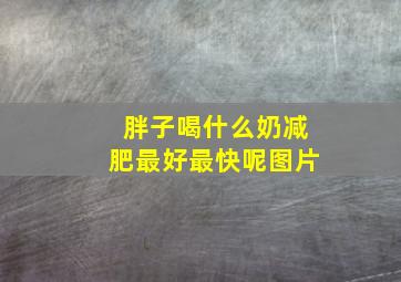 胖子喝什么奶减肥最好最快呢图片