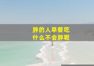 胖的人早餐吃什么不会胖呢