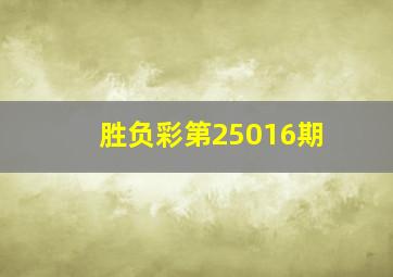 胜负彩第25016期