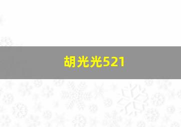 胡光光521