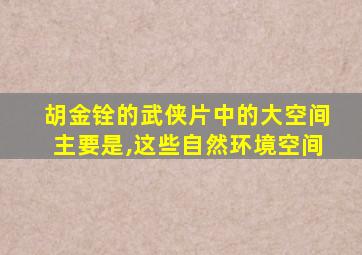 胡金铨的武侠片中的大空间主要是,这些自然环境空间