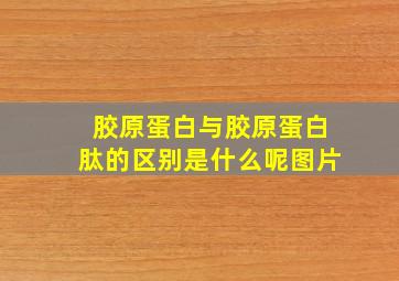 胶原蛋白与胶原蛋白肽的区别是什么呢图片