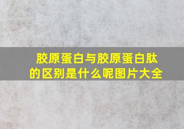 胶原蛋白与胶原蛋白肽的区别是什么呢图片大全