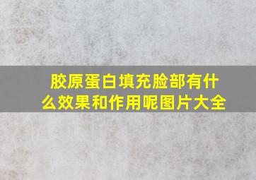 胶原蛋白填充脸部有什么效果和作用呢图片大全