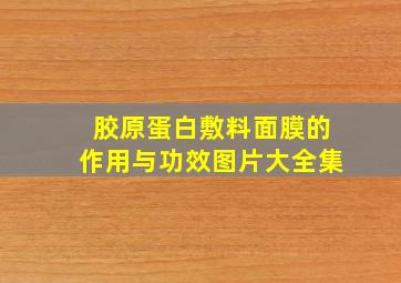 胶原蛋白敷料面膜的作用与功效图片大全集