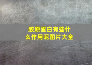 胶原蛋白有些什么作用呢图片大全