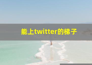 能上twitter的梯子