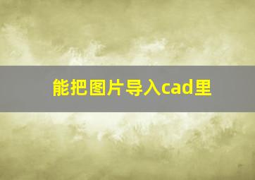 能把图片导入cad里