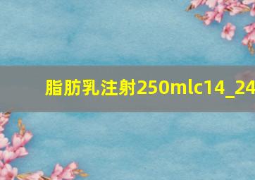 脂肪乳注射250mlc14_24