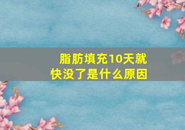 脂肪填充10天就快没了是什么原因