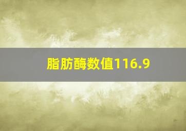 脂肪酶数值116.9