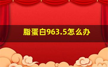 脂蛋白963.5怎么办