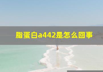 脂蛋白a442是怎么回事