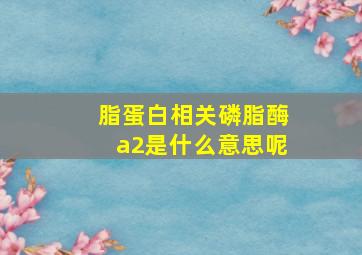 脂蛋白相关磷脂酶a2是什么意思呢