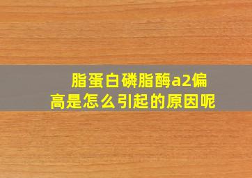 脂蛋白磷脂酶a2偏高是怎么引起的原因呢