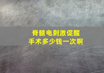 脊髓电刺激促醒手术多少钱一次啊