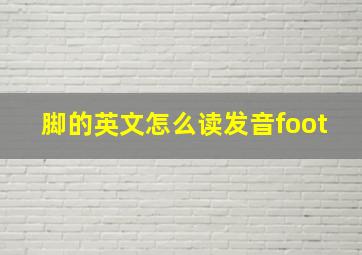 脚的英文怎么读发音foot