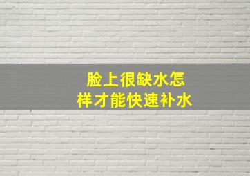 脸上很缺水怎样才能快速补水