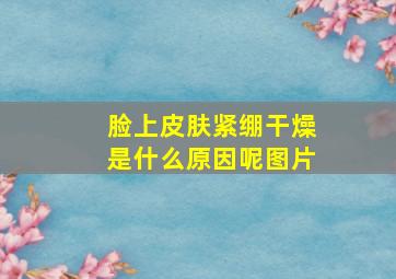 脸上皮肤紧绷干燥是什么原因呢图片