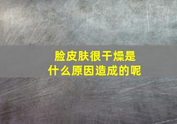 脸皮肤很干燥是什么原因造成的呢