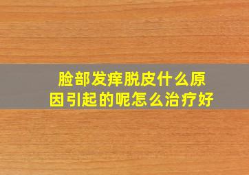 脸部发痒脱皮什么原因引起的呢怎么治疗好