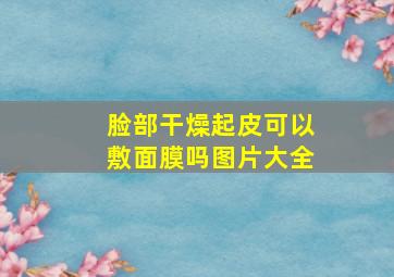 脸部干燥起皮可以敷面膜吗图片大全