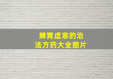 脾胃虚寒的治法方药大全图片