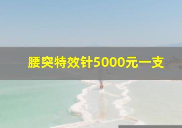 腰突特效针5000元一支